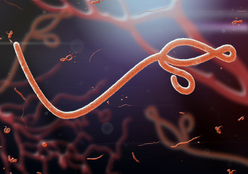 ebola-virus