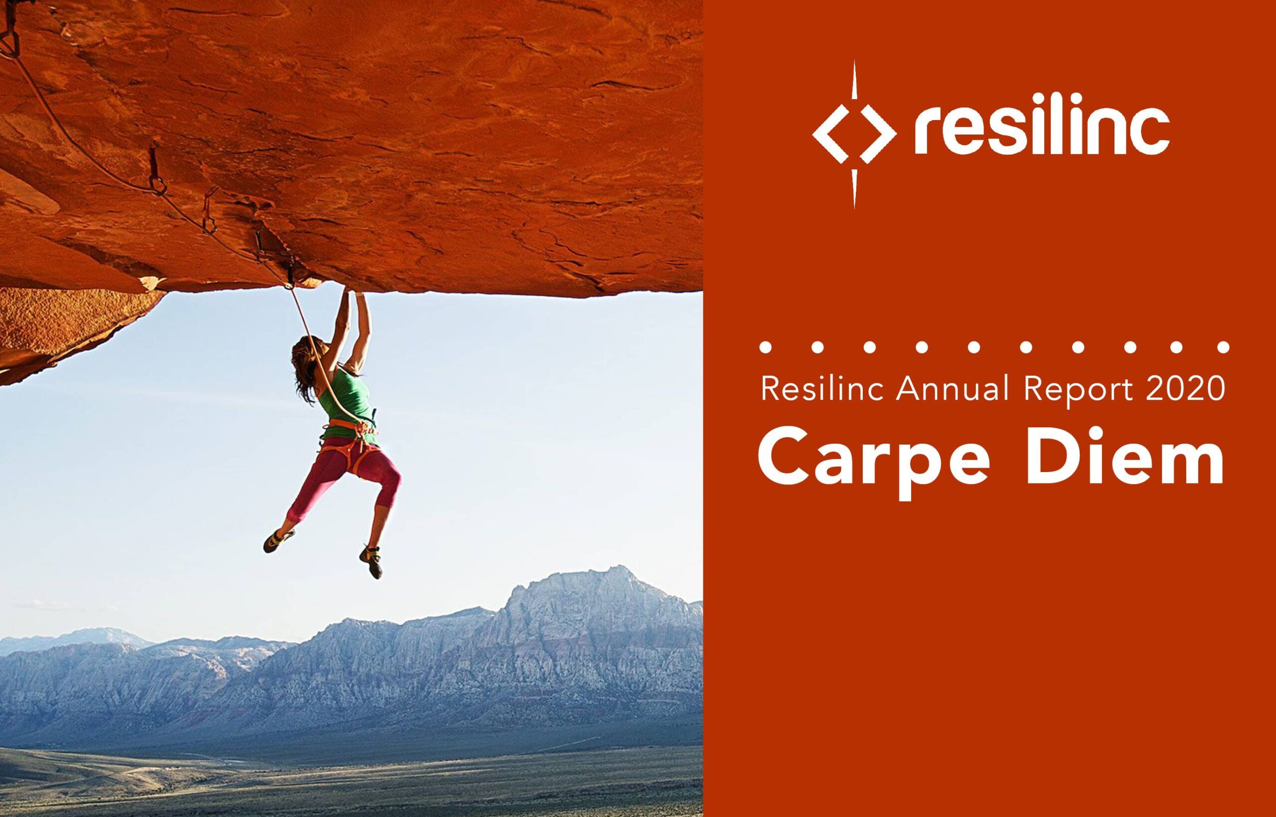 Resilinc Annual Report 2020 Carpe Diem