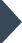 Play Icon