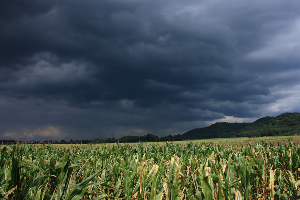La Nina_Food Shortage