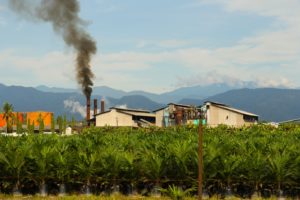 Read more about the article Malaysia offers sourcing opportunities but with ESG concerns