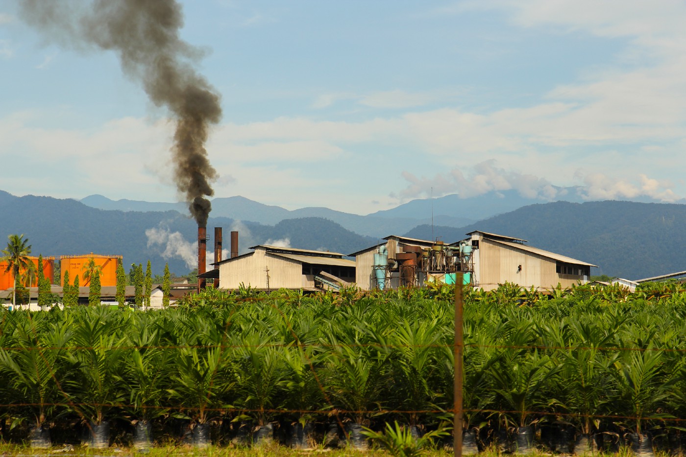 Malaysia offers sourcing opportunities but with ESG concerns
