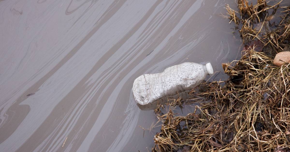 water bottle in PFAS contaminated water