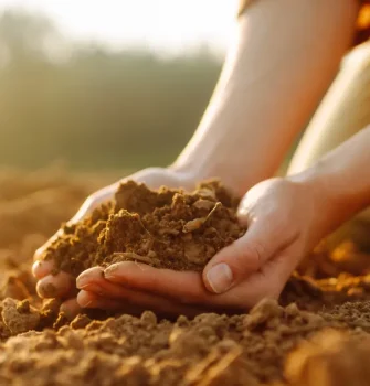 Climate & Agriculture Disruptions-Thumbnail